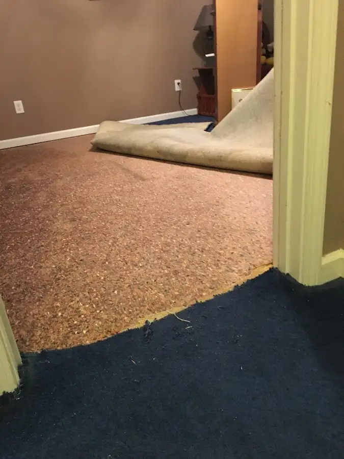 Carpet pad removal revealing water damage during Drying & Dehumidification in Lower Heidelberg