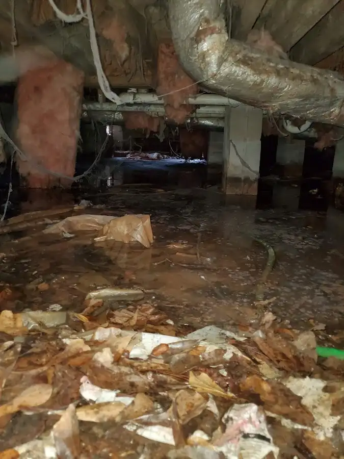 Crawl space flood assessment for Leak Detection & Repair in Lower Heidelberg
