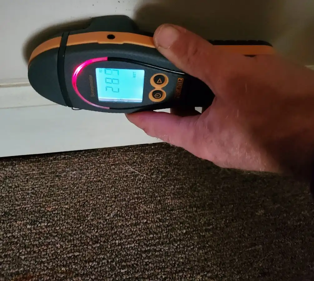 Moisture detection at baseboard during Burst Pipe Cleanup in Lower Heidelberg